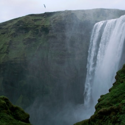 Tamarind falls hiking
trip - full day

