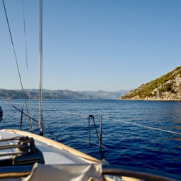 The blue marine discovery
quest